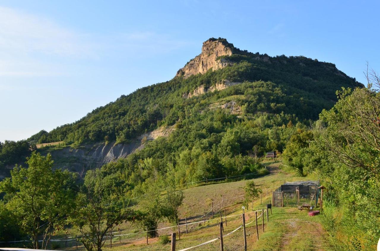 Agricampeggio Ca Di Mazza Monzuno Dış mekan fotoğraf