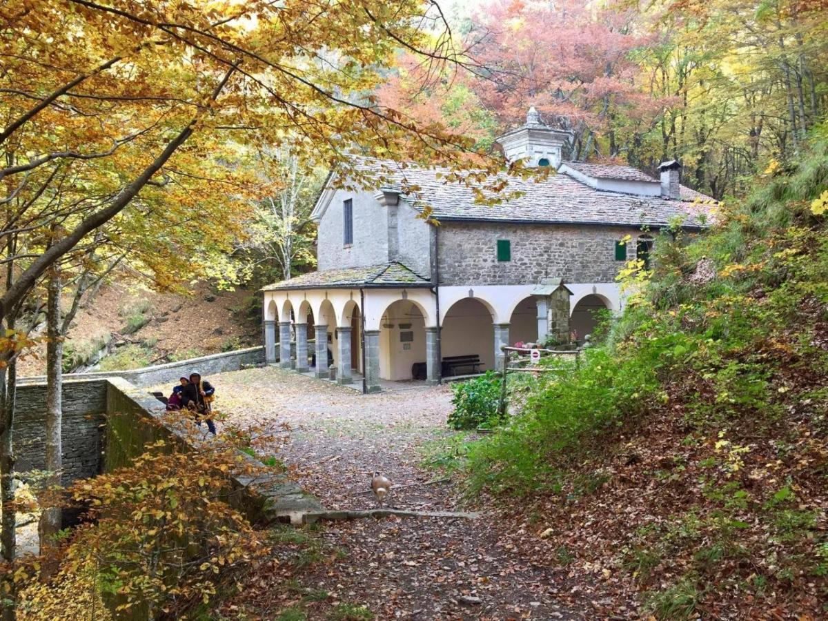 Agricampeggio Ca Di Mazza Monzuno Dış mekan fotoğraf
