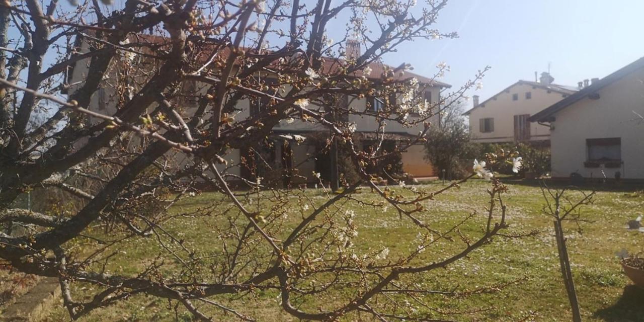 Agricampeggio Ca Di Mazza Monzuno Dış mekan fotoğraf