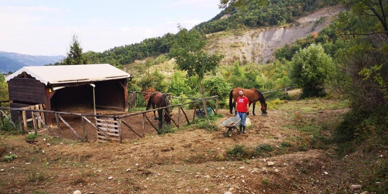 Agricampeggio Ca Di Mazza Monzuno Dış mekan fotoğraf