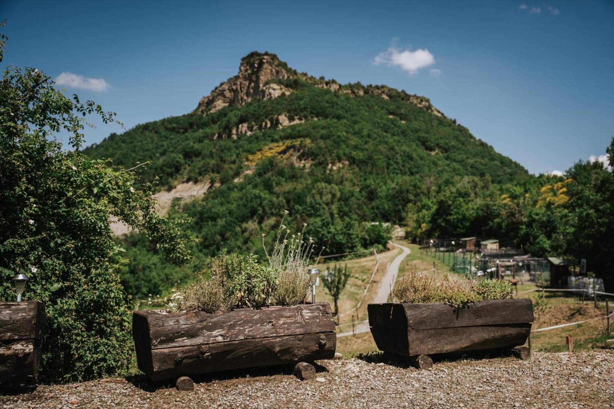 Agricampeggio Ca Di Mazza Monzuno Dış mekan fotoğraf