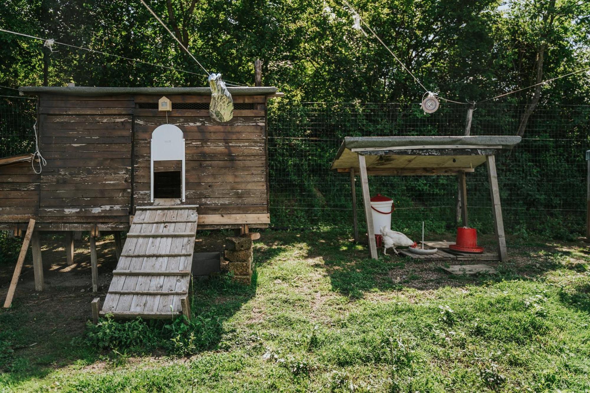 Agricampeggio Ca Di Mazza Monzuno Dış mekan fotoğraf