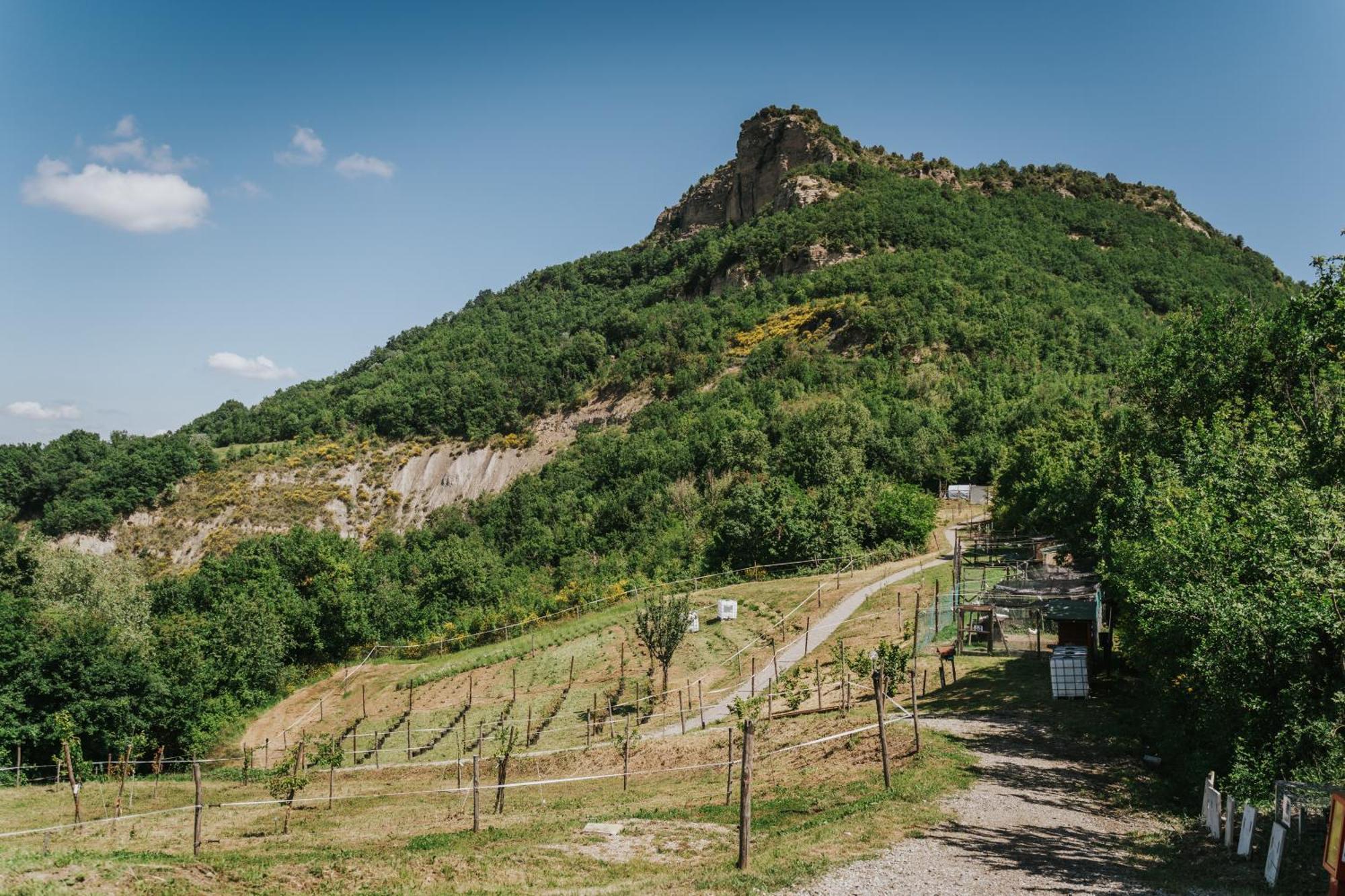 Agricampeggio Ca Di Mazza Monzuno Dış mekan fotoğraf